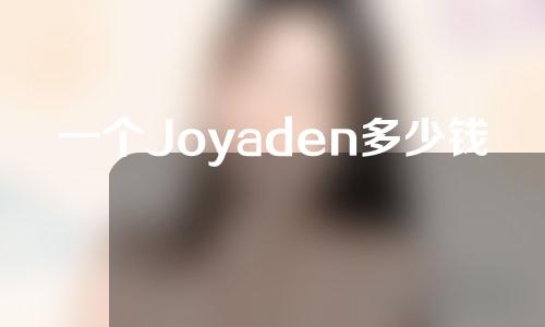 一个Joyaden多少钱？