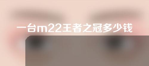 一台m22王者之冠多少钱