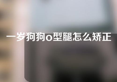 一岁狗狗o型腿怎么矫正
