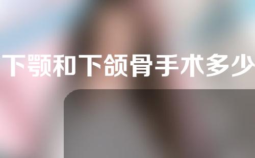 上下颚和下颌骨手术多少钱