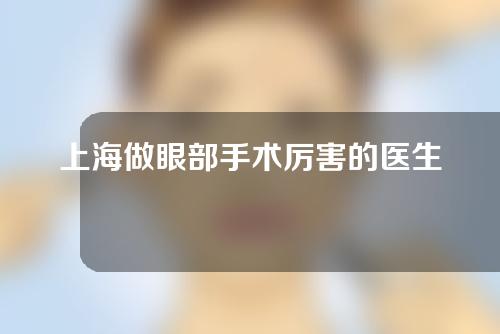 上海做眼部手术厉害的医生+成功案例展示