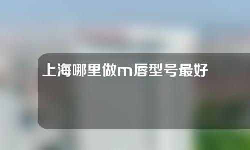 上海哪里做m唇型号最好