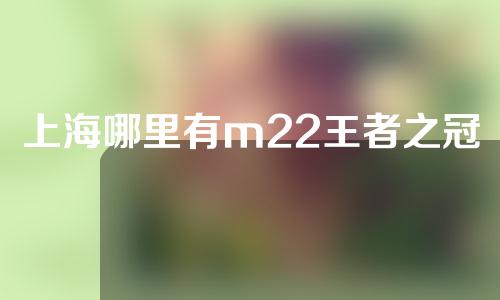 上海哪里有m22王者之冠