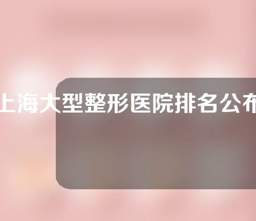 上海大型整形医院排名公布人气和实力个个不输