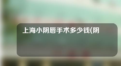 上海小阴唇手术多少钱(阴唇手术整形多少钱)