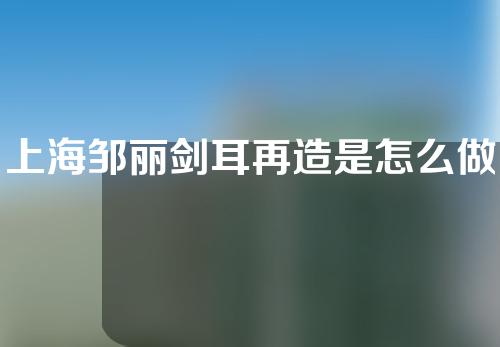 上海邹丽剑耳再造是怎么做的？是支架好还是肋骨好？