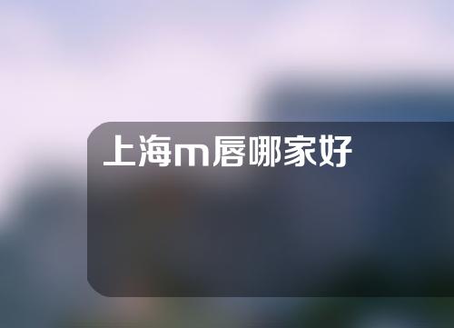 上海m唇哪家好