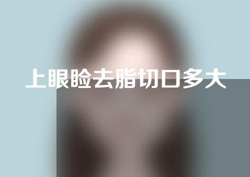 上眼睑去脂切口多大