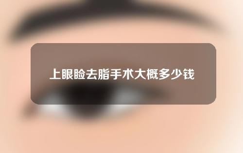 上眼睑去脂手术大概多少钱