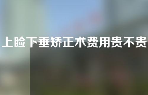 上睑下垂矫正术费用贵不贵