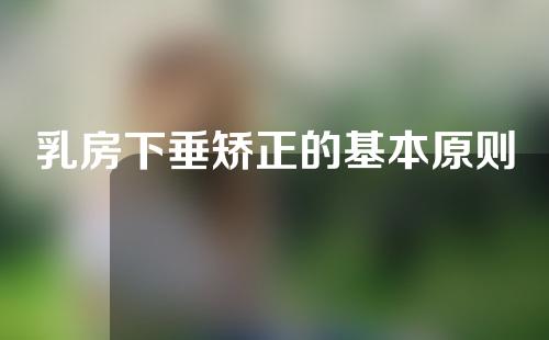 乳房下垂矫正的基本原则