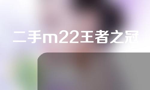 二手m22王者之冠