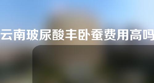 云南玻尿酸丰卧蚕费用高吗(云南玻尿酸女王)