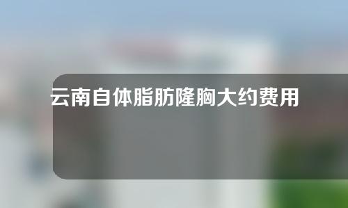 云南自体脂肪隆胸大约费用是多少(云南自体脂肪隆胸大约费用是多少钱)