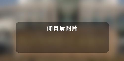 仰月唇图片