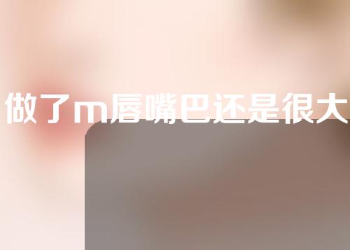 做了m唇嘴巴还是很大