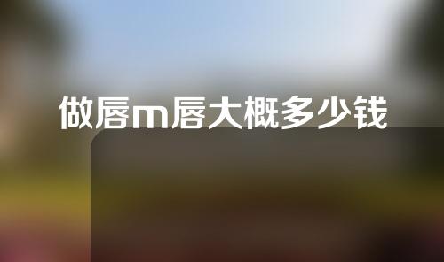 做唇m唇大概多少钱