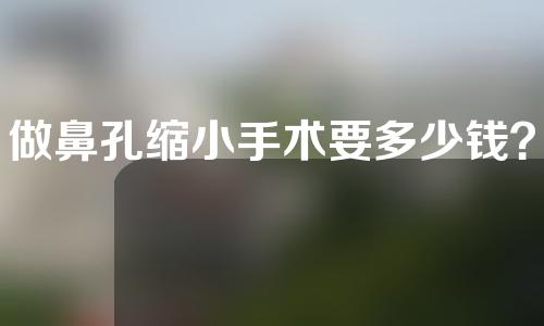 做鼻孔缩小手术要多少钱？费用是多少？
