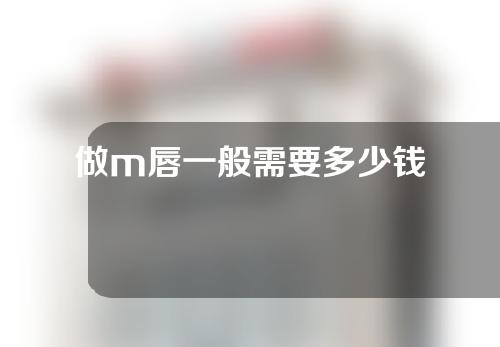 做m唇一般需要多少钱