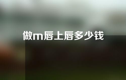 做m唇上唇多少钱