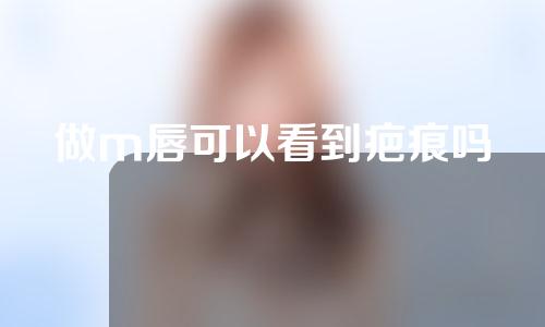 做m唇可以看到疤痕吗
