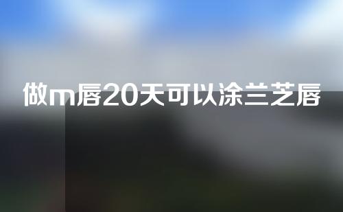 做m唇20天可以涂兰芝唇膜吗