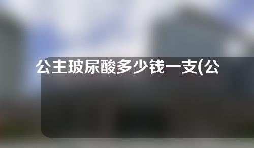 公主玻尿酸多少钱一支(公主玻尿酸多少钱一支啊)