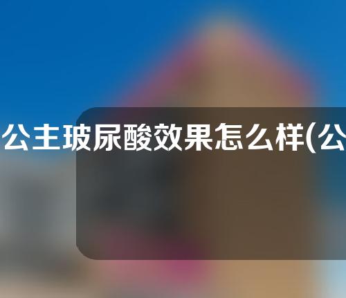 公主玻尿酸效果怎么样(公主玻尿酸效果怎么样知乎)