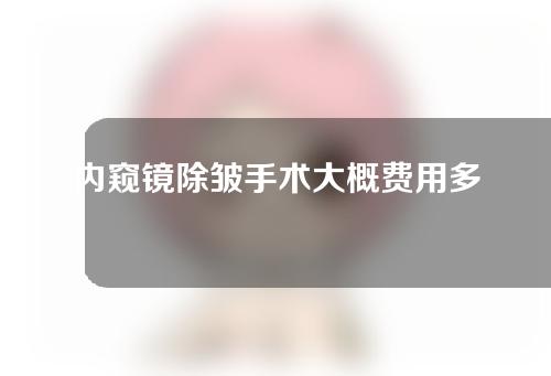 内窥镜除皱手术大概费用多少？