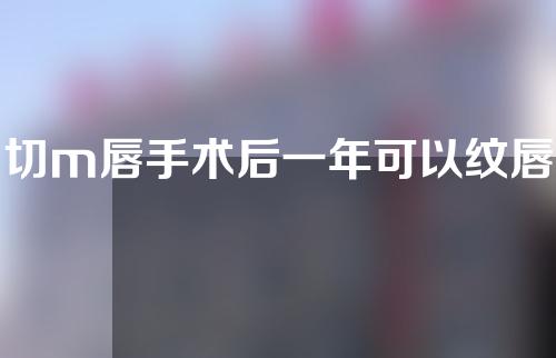 切m唇手术后一年可以纹唇吗