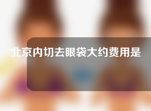 北京内切去眼袋大约费用是多少(北京去眼袋手术费用大概多少钱)