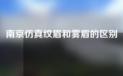 南京仿真纹眉和雾眉的区别是什么？哪个更好呢？