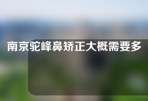 南京驼峰鼻矫正大概需要多少钱(驼峰鼻矫正手术要多少钱)