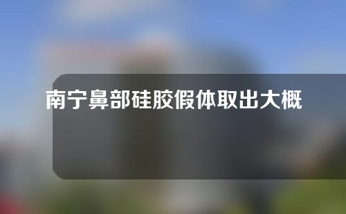 南宁鼻部硅胶假体取出大概需要多少钱(南宁鼻部硅胶假体取出大概需要多少钱呢)