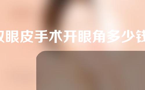 双眼皮手术开眼角多少钱(双眼皮手术开眼角多少钱啊)