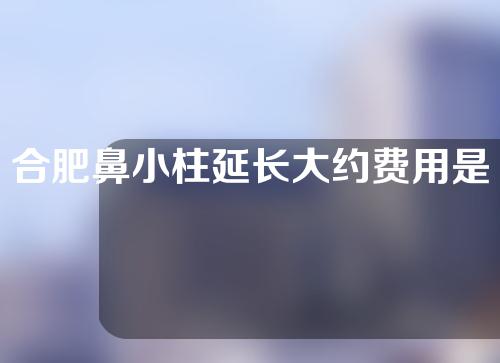 合肥鼻小柱延长大约费用是多少(单独做鼻小柱延长多少钱)