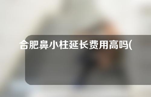 合肥鼻小柱延长费用高吗(鼻小柱延长可以单独取出吗)