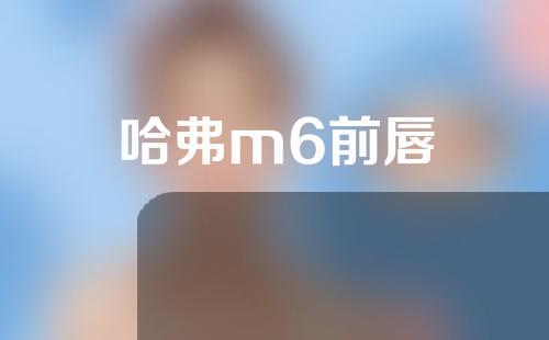 哈弗m6前唇