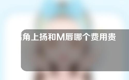 嘴角上扬和M唇哪个费用贵一些