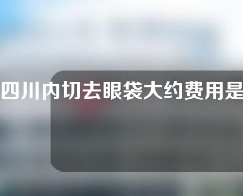 四川内切去眼袋大约费用是多少(华西医院内切去眼袋多少钱)