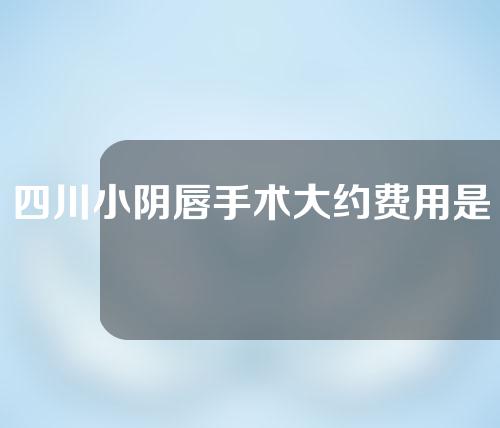 四川小阴唇手术大约费用是多少(外阴肥大手术多少钱？)