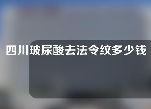 四川玻尿酸去法令纹多少钱(玻尿酸去法令纹多少钱一针)