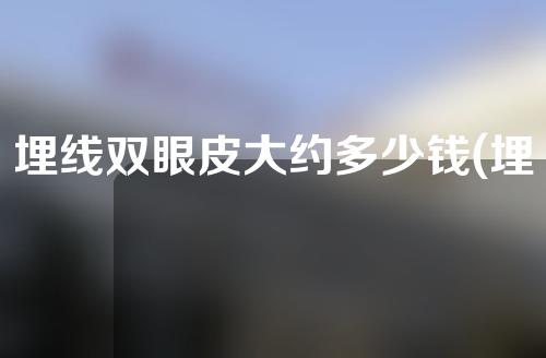 埋线双眼皮大约多少钱(埋线双眼皮大约多少钱啊)