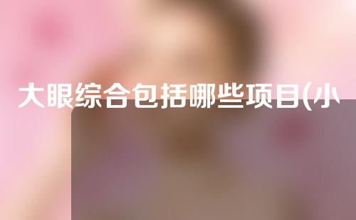 大眼综合包括哪些项目(小眼综合包括哪些项目)