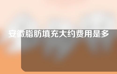 安徽脂肪填充大约费用是多少(安徽脂肪填充大约费用是多少钱啊)