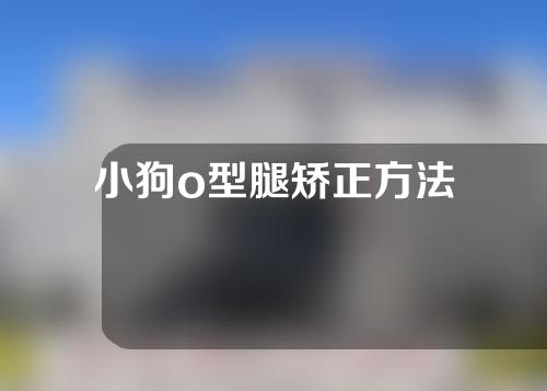 小狗o型腿矫正方法