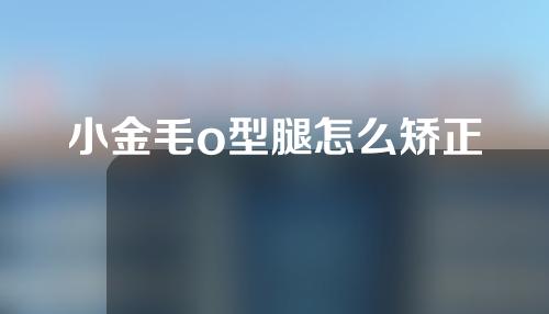 小金毛o型腿怎么矫正