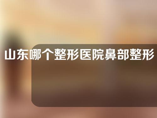 山东哪个整形医院鼻部整形好？收费价格+医生推荐靠谱！