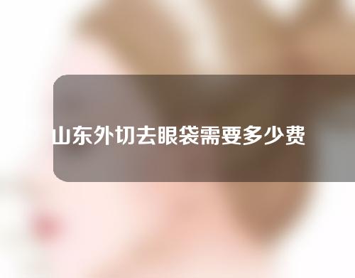 山东外切去眼袋需要多少费用(山东外切去眼袋需要多少费用呀)