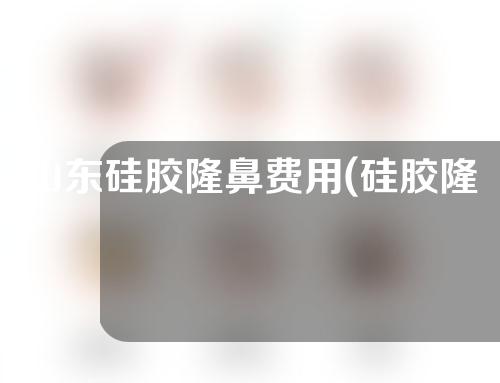 山东硅胶隆鼻费用(硅胶隆鼻收费)